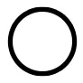New Moon